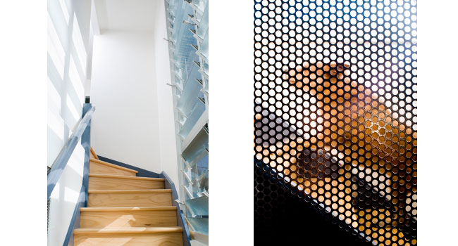 Balgowlah House - modern architecture